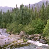 Grands Jardins: Petite Rivière Malbaie