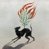 Foxfire - Single