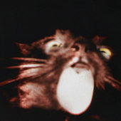 Avatar for rklkh