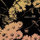 Strangers At Home [Explicit]