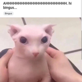 ametrite 的头像