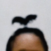 isameigre 的头像