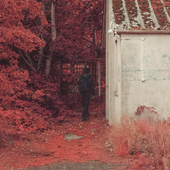 not_cjr 的头像