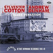 Blues Sensation: Detroit Down Home Recordings 1948-49