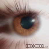 Buddhuza.com