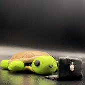 Trtle.T on computer