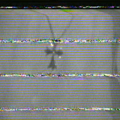 Avatar for gaabwel