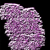Hypnotic Paranoia Splattering logo