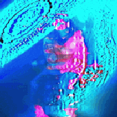 IMG_4198.gif