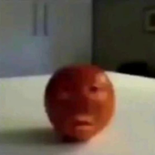 LorekD 的头像