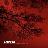 Gaivota (feat. Naima Joris) - Single