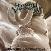 Grindcore Contaminations