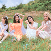 Summer Package Photobook