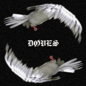 circleofveins 的头像