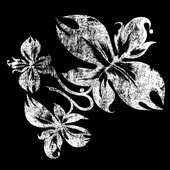 Avatar for AlvrNZKT