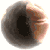 eyeoctave 的头像