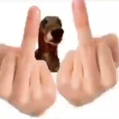 davigameplays 的头像