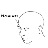 Avatar for nasion