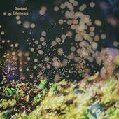 Ephemerons