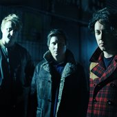 Wombats-4.jpg