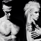 DIE ANTWOORD