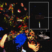 B0N3S43 的头像