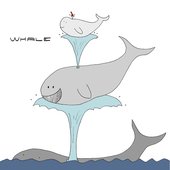 Whale