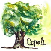 Copali