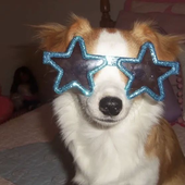 Avatar for peropaffu