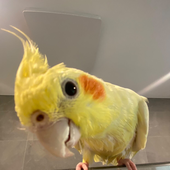 M4CH3T3 的头像
