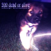 500 dead or alive