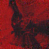ccphoto.png
