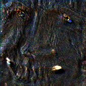 1000019717.png