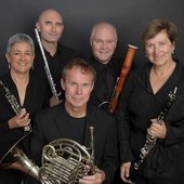Borealis-Wind-Quintet-formal-2016-credit_Andrew-Fingland.jpg