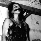 Zygote 1998