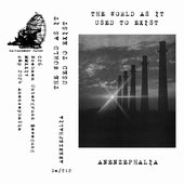 The World As It Used To Exist