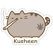 Avatar for khaidreamss