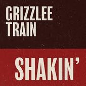 Shakin' - Single