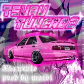 Tsuru Tuneado