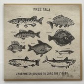 Underwater Sounds to Lure the Fishes