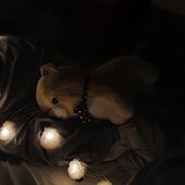 my solitude