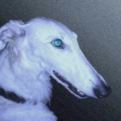Avatar für lienvoid
