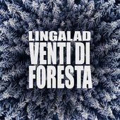 Venti di foresta