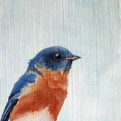 Avatar for Bleuburd