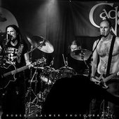 Cadence Noir 