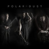 Polar Dust