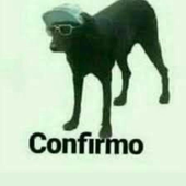 Avatar de RagorT
