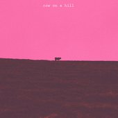 Cow On A Hill