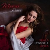 What a Wonderful World (feat. Radek Baborák) - Single