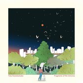 Fragments Of The Universe